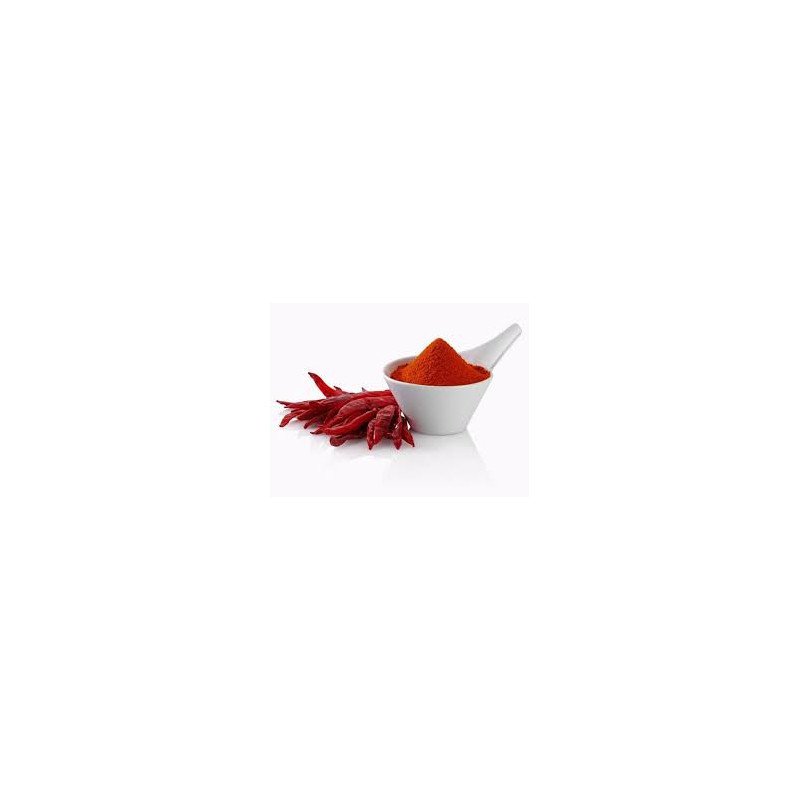 Hummingbird notebook Hummingbird notebook