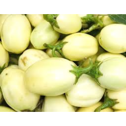 Aubergine