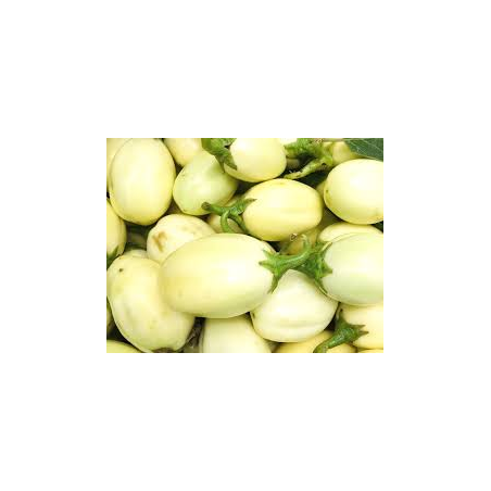 Aubergine