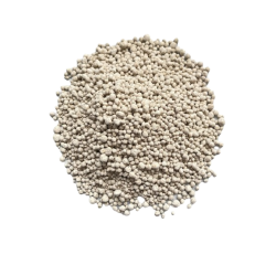 Millet grains for dégué