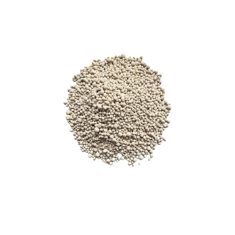 Millet grains for dégué Millet grains for dégué