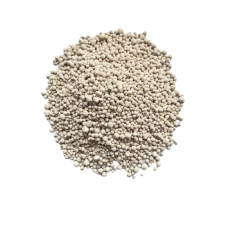 Millet grains for dégué