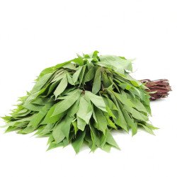 Feuille de manioc