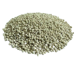 Millet grains for dégué