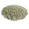 Millet grains for dégué