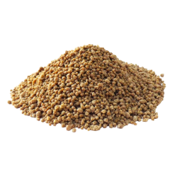 Millet grains for dégué