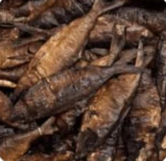 6 pcs Dried Bonga Fish (Magne sec)